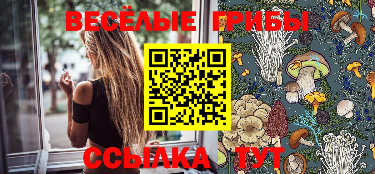 Псилоцибиновые грибы MAGIC MUSHROOMS Среднеуральск