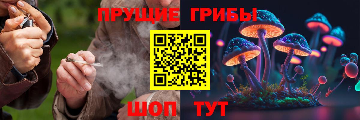 Псилоцибиновые грибы Cubensis  Вход с VPN  Среднеуральск 